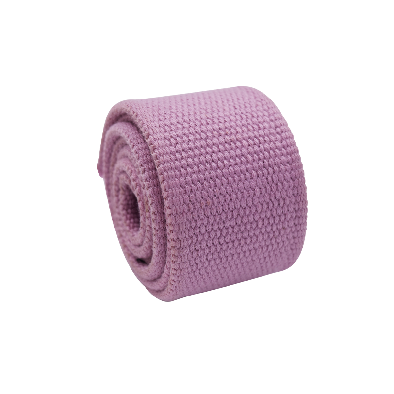 Correia de poliéster de cinto Correia de poliéster de cinto